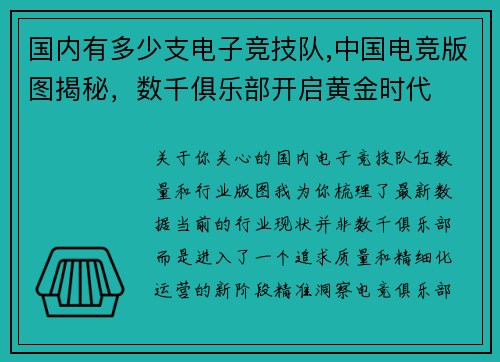 国内有多少支电子竞技队,中国电竞版图揭秘，数千俱乐部开启黄金时代
